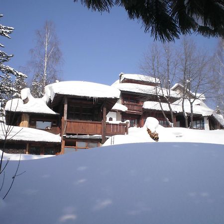 Apartments Carevo Polje ズラティボール エクステリア 写真